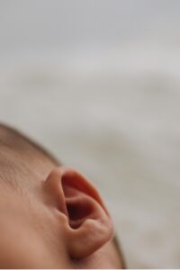 baby portraits in sonoma