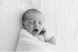 newborn photographer in sonoma county
