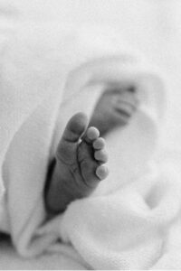 newborn photos sonoma county