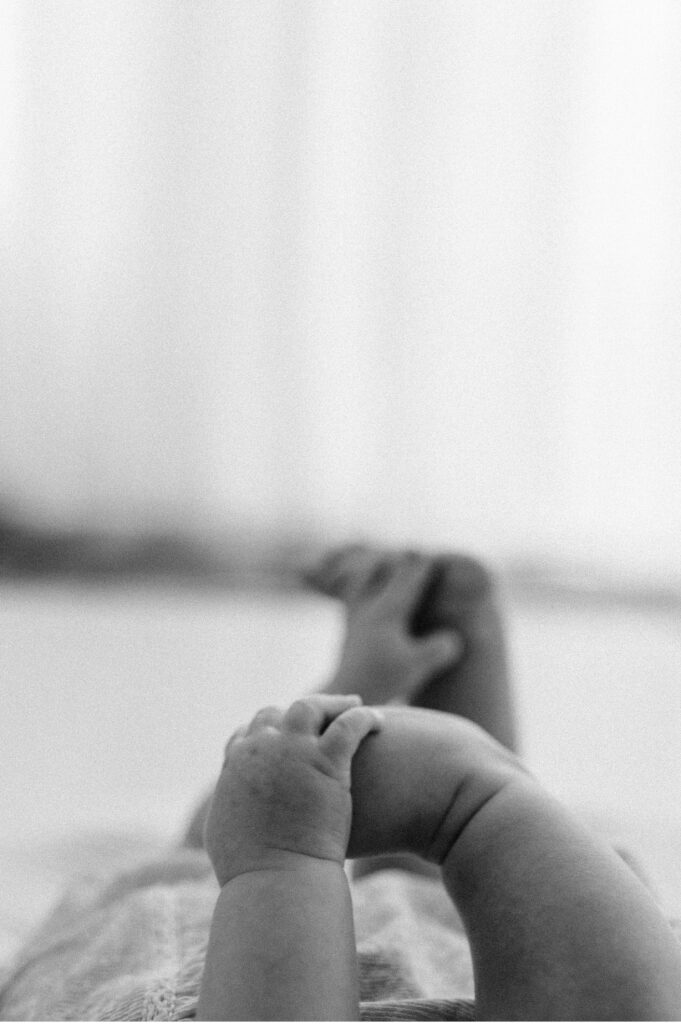 sonoma county sitter portrait session