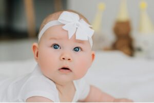 sonoma county sitter portrait session