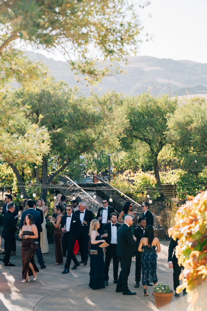 cocktail hour viansa winery