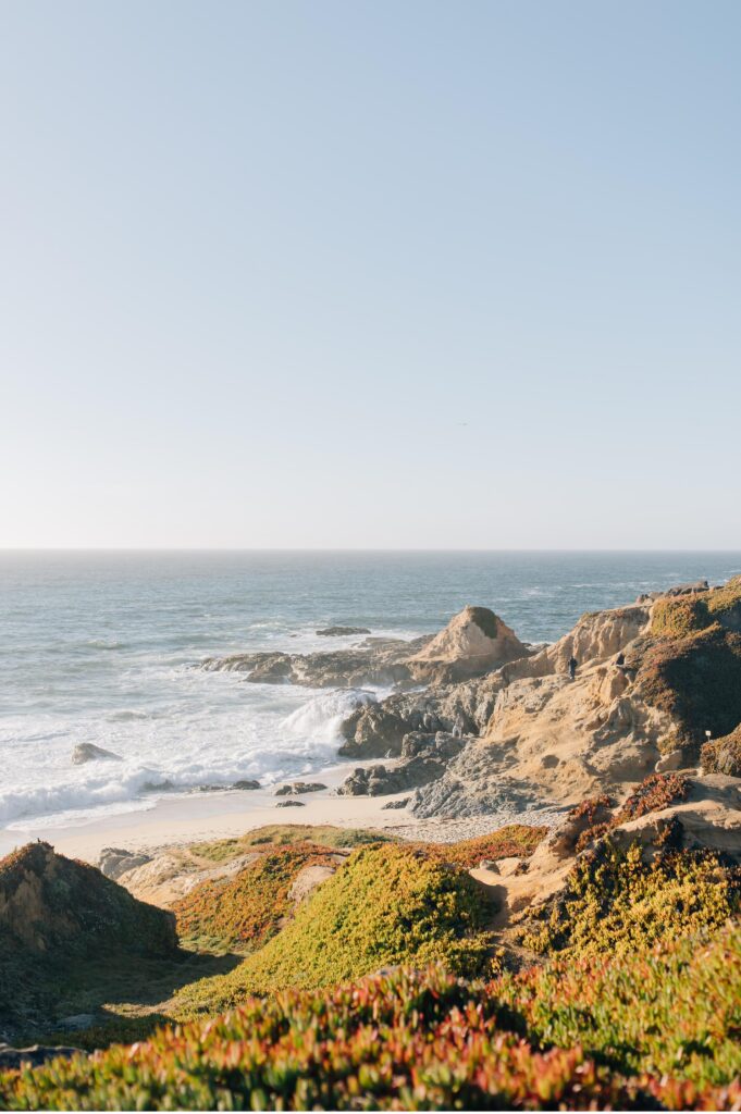 bodega bay engagement session